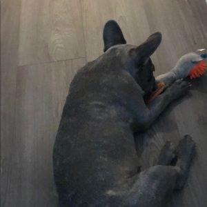 Meet your Posher, Lucia